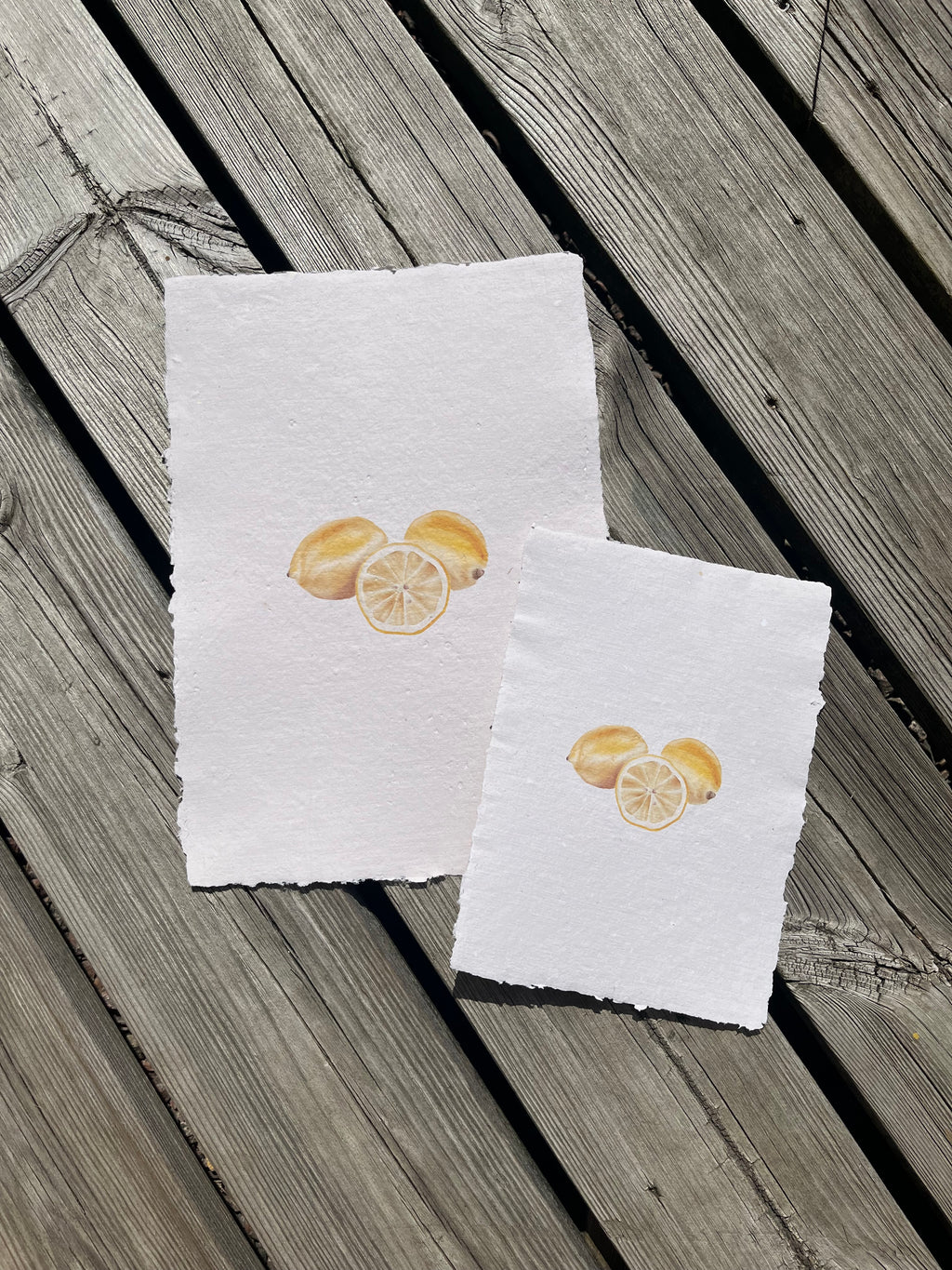 Citrus Reverie I — First Light Edition