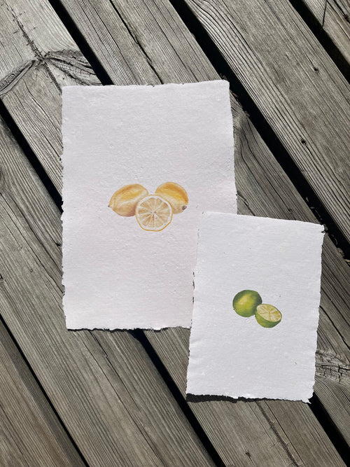 Citrus Reverie I — First Light Edition