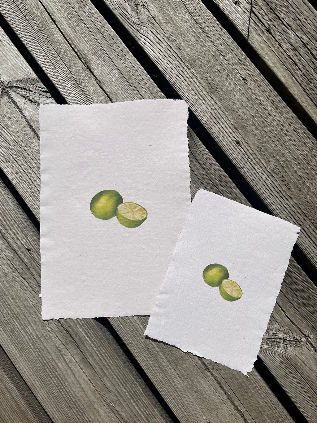 Citrus Reverie I — First Light Edition