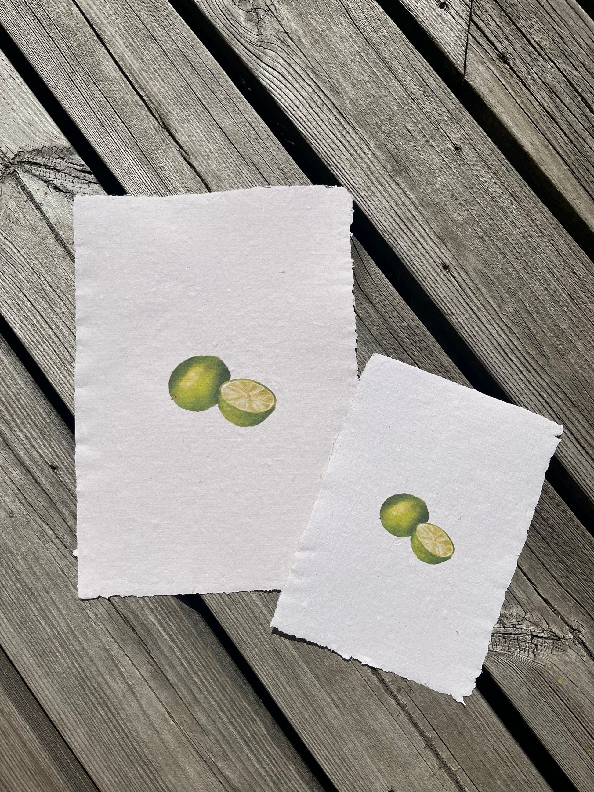 Citrus Reverie I — First Light Edition