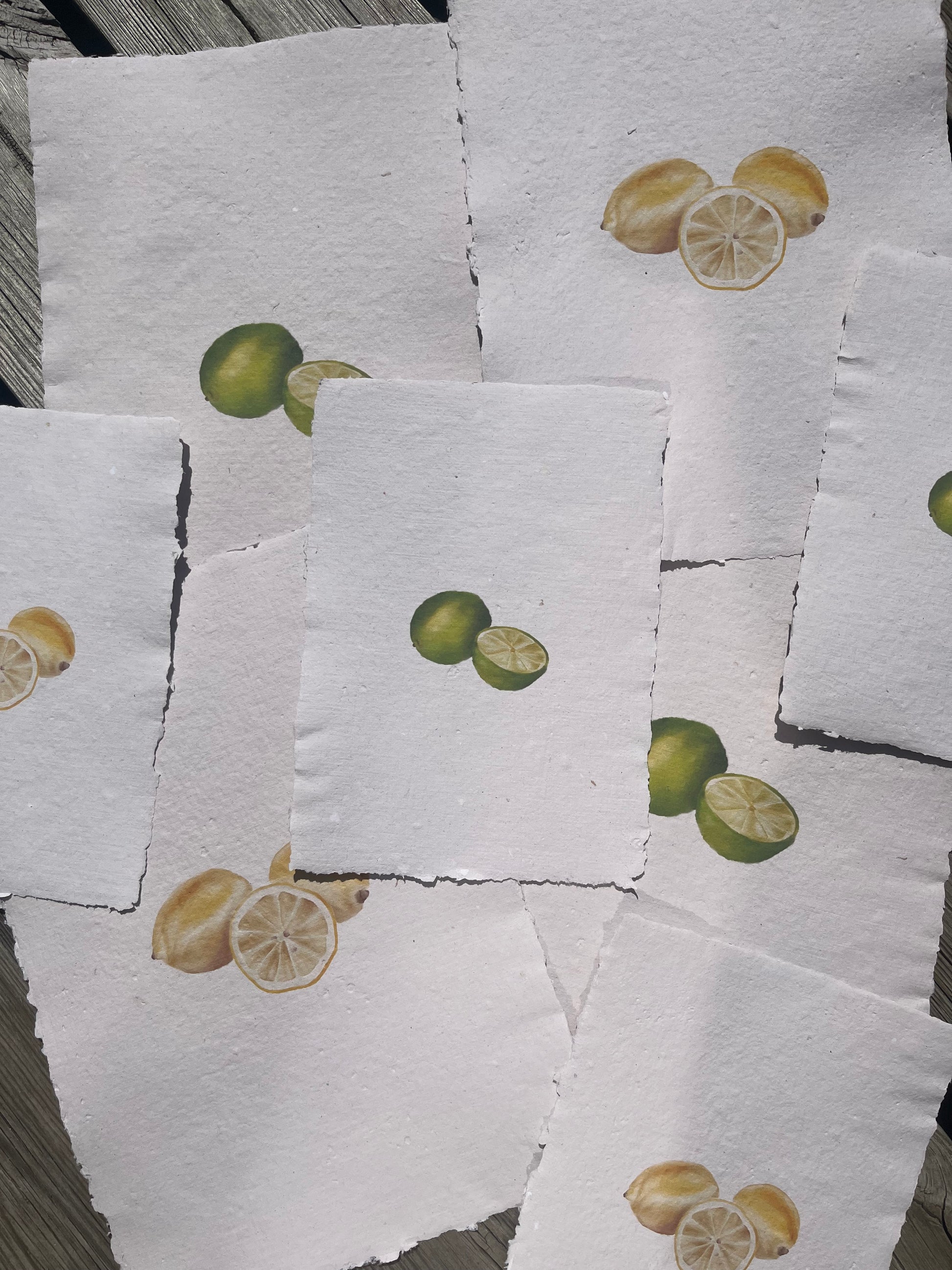Citrus Reverie I — First Light Edition